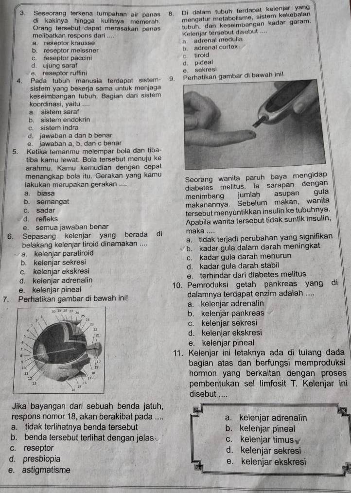 Seseorang terkena tumpahan air panas 8. Di dalam tubuh terdapat kelenjar yang
di kakinya hingga kulitnya memerah. mengatur metabolisme, sistem kekebalan
Orang tersebut dapat merasakan panas tubuh, dan keseimbangan kadar garam.
melibatkan respons dari .... Kelenjar tersebut disebut ....
a. reseptor krausse a adrenal medulla
b. reseptor meissner b. adrenal cortex
c. reseptor paccini
c. tiroid
d. ujung saraf
d。 pideal
e. reseptor ruffini e. sekresi
4. Pada tubuh manusia terdapat sistem- 9. Perhatikan gambar di bawah ini!
sistem yang bekerja sama untuk menjaga
keseimbangan tubuh. Bagian dari sistem
koordinasi, yaitu ....
a. sistem saraf
b. sistem endokrin
c. sistem indra
d. jawaban a dan b benar
e. jawaban a, b, dan c benar
5. Ketika temanmu melempar bola dan tiba-
tiba kamu lewat. Bola tersebut menuju ke
arahmu. Kamu kemudian dengan cepat
menangkap bola itu. Gerakan yang kamu
lakukan merupakan gerakan .... Seorang wanita paruh baya mengidap
a. biasa diabetes melitus. Ia sarapan dengan
b. semangat menimbang jumlah asupan gula
c. sadar makanannya. Sebelum makan, wanita
d. refleks tersebut menyùntikkan insulin ke tubuhnya.
Apabila wanita tersebut tidak suntik insulin,
e. semua jawaban benar maka ....
6. Sepasang kelenjar yang berada di a. tidak terjadi perubahan yang signifikan
belakang kelenjar tiroid dinamakan ....
a. kelenjar paratiroid b. kadar gula dalam darah meningkat
b. kelenjar sekresi c. kadar gula darah menurun
c. kelenjar ekskresi d. kadar gula darah stabil
d. kelenjar adrenalin e. terhindar dari diabetes melitus
e. kelenjar pineal 10. Pemroduksi getah pankreas yang di
7. Perhatikan gambar di bawah ini! dalamnya terdapat enzim adalah ....
a. kelenjar adrenalin
b. kelenjär pankreas
c. kelenjar sekresi
d. kelenjar ekskresi
e. kelenjar pineal
11. Kelenjar ini letaknya ada di tulang dada
bagian atas dan berfungsi memproduksi
hormon yang berkaitan dengan proses
pembentukan sel limfosit T. Kelenjar ini
disebut ....
Jika bayangan dari sebuah benda jatuh,
respons nomor 18, akan berakibat pada .... a. kelenjar adrenalin
a. tidak terlihatnya benda tersebut b. kelenjar pineal
b. benda tersebut terlihat dengan jelas c. kelenjar timus
c. reseptor d. kelenjar sekresi
d. presbiopia e. kelenjar ekskresi
e. astigmatisme