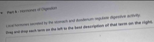 Hormones of Digestion 
Local hormones secreted by the stomach and duodenum regulate digestive activity. 
Drag and drop each term on the left to the best description of that term on the right.