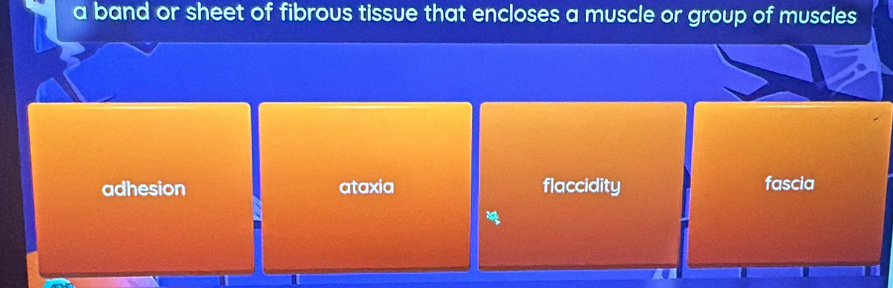 a band or sheet of fibrous tissue that encloses a muscle or group of muscles
adhesion ataxia flaccidity fascia