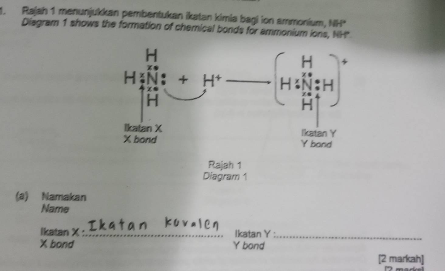 Rajah 1 menunjukkan pembentukan ikatan kimia bagi ion ammonium, NH°
Diagram 1 shows the formation of chemical bonds for ammonium ions, NH
Rajah 1
Diagram 1
(a) Namakan
Name
Ikatan X_ Ikatan Y :_
X bond Y bond
[2 markah]