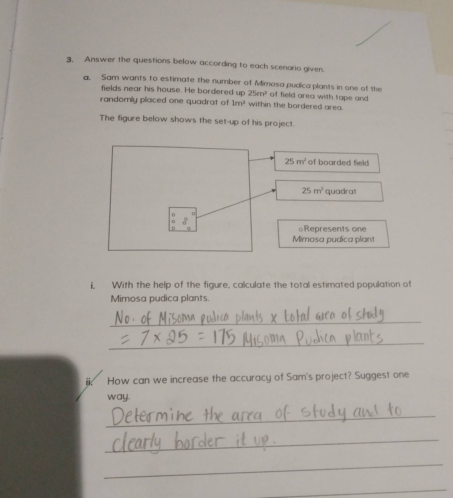 Answer the questions below according to each scenario given. 
a. Sam wants to estimate the number of Mimosa pudica plants in one of the 
fields near his house. He bordered up 25m^2 of field area with tape and 
randomly placed one quadrat of 1m^2 within the bordered area. 
The figure below shows the set-up of his project.
25m^2 of boarded field
25m^2 quadrat 
C 
oRepresents one 
Mimosa pudica plant 
i. With the help of the figure, calculate the total estimated population of 
Mimosa pudica plants. 
_ 
_ 
ji How can we increase the accuracy of Sam's project? Suggest one 
way. 
_ 
_ 
_ 
_