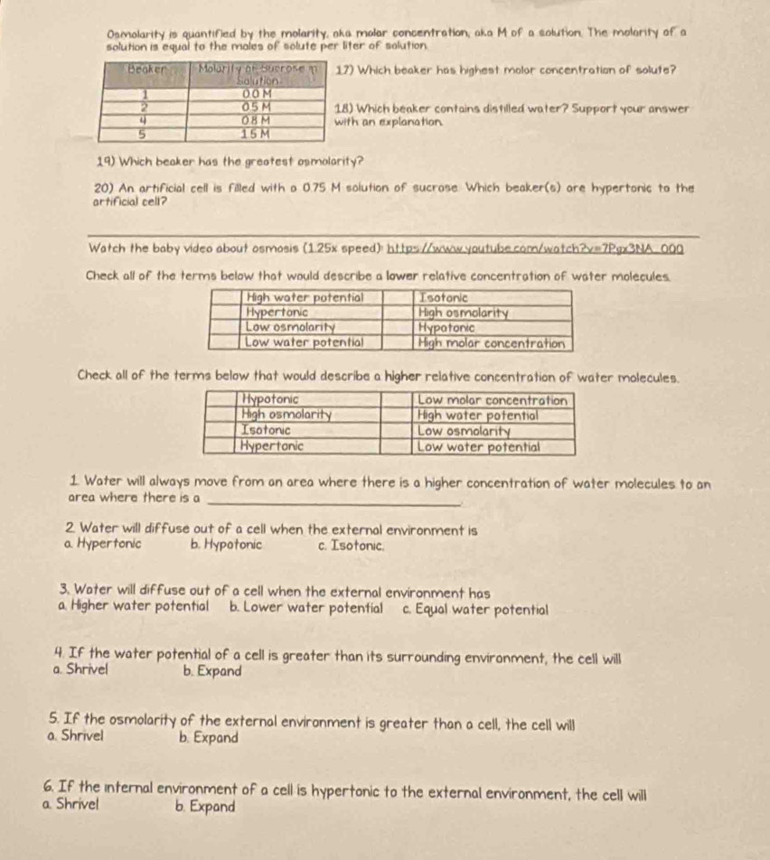 Osmolarity is quantified by the molarity, aka molar concentration, aka M of a solution. The molarity of a
solution is equal to the males of solute per liter of solution.
7) Which beaker has highest molor concentration of solute?
8) Which beaker contains distilled water? Support your answer
ith an explanation.
19) Which beaker has the greatest osmolarity?
20) An artificial cell is filled with a 0.75 M solution of sucrose. Which beaker(s) are hypertonic to the
artificial cell?
_
Watch the baby video about osmosis (1.25x speed): https://www.youtube.com/watch?v=7Pgx3NA_ 000
Check all of the terms below that would describe a lower relative concentration of water molecules.
Check all of the terms below that would describe a higher relative concentration of water molecules.
1. Water will always move from an area where there is a higher concentration of water molecules to an
area where there is a
_
2. Water will diffuse out of a cell when the external environment is
a Hypertonic b. Hypotonic c. Isotonic.
3. Water will diffuse out of a cell when the external environment has
a Higher water potential b. Lower water potential c. Equal water potential
4. If the water potential of a cell is greater than its surrounding environment, the cell will
a. Shrivel b. Expand
5. If the osmolarity of the external environment is greater than a cell, the cell will
a. Shrivel b. Expand
6. If the internal environment of a cell is hypertonic to the external environment, the cell will
a. Shrivel b. Expand