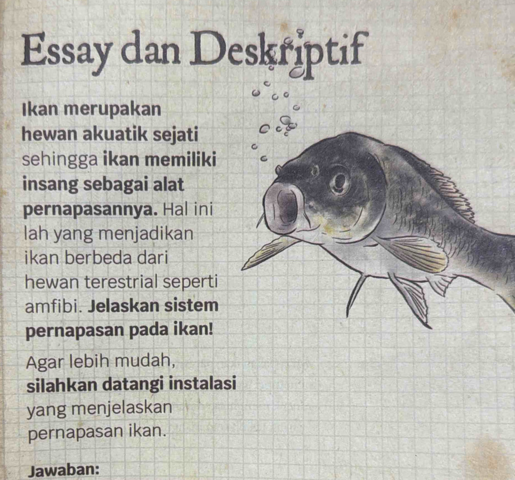 Essay dan Deskriptif 
Ikan merupakan 
hewan akuatik sejati 
sehingga ikan memiliki 
insang sebagai alat 
pernapasannya. Hal ini 
lah yang menjadikan 
ikan berbeda dari 
hewan terestrial seperti 
amfibi. Jelaskan sistem 
pernapasan pada ikan! 
Agar lebih mudah, 
silahkan datangi instalasi 
yang menjelaskan 
pernapasan ikan. 
Jawaban: