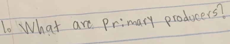 What are Primary prodocers?