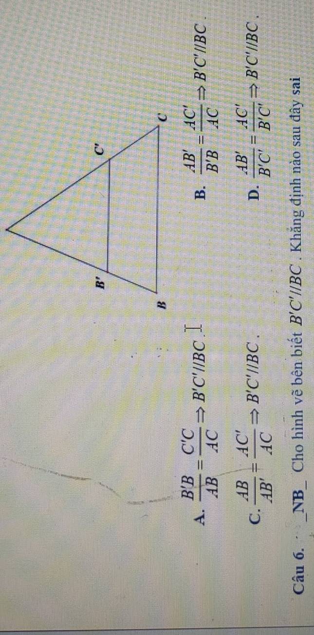 A.  B'B/AB = C'C/AC Rightarrow B'C'//BC  AB'/B'B = AC'/AC Rightarrow B'C'parallel BC.
B.
C.  AB/AB' = AC'/AC Rightarrow B'C'//BC.  AB'/B'C' = AC'/B'C' Rightarrow B'C'//BC.
D.
Câu 6. _NB_ Cho hình vẽ bên biết B'C'//BC. Khăng định nào sau đây sai