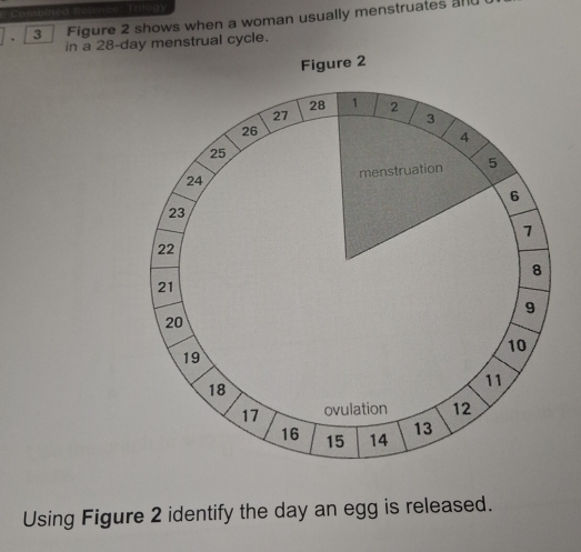 mogy 
a 3 Figure 2 shows when a woman usually menstruates all 
in a 28-day menstrual cycle. 
Using Figure 2 identify the day an egg is released.