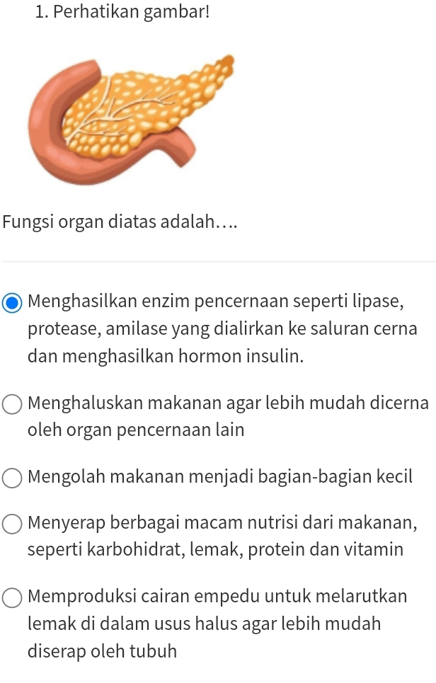 Perhatikan gambar!
Fungsi organ diatas adalah…...
Menghasilkan enzim pencernaan seperti lipase,
protease, amilase yang dialirkan ke saluran cerna
dan menghasilkan hormon insulin.
Menghaluskan makanan agar lebih mudah dicerna
oleh organ pencernaan lain
Mengolah makanan menjadi bagian-bagian kecil
Menyerap berbagai macam nutrisi dari makanan,
seperti karbohidrat, lemak, protein dan vitamin
Memproduksi cairan empedu untuk melarutkan
lemak di dalam usus halus agar lebih mudah
diserap oleh tubuh