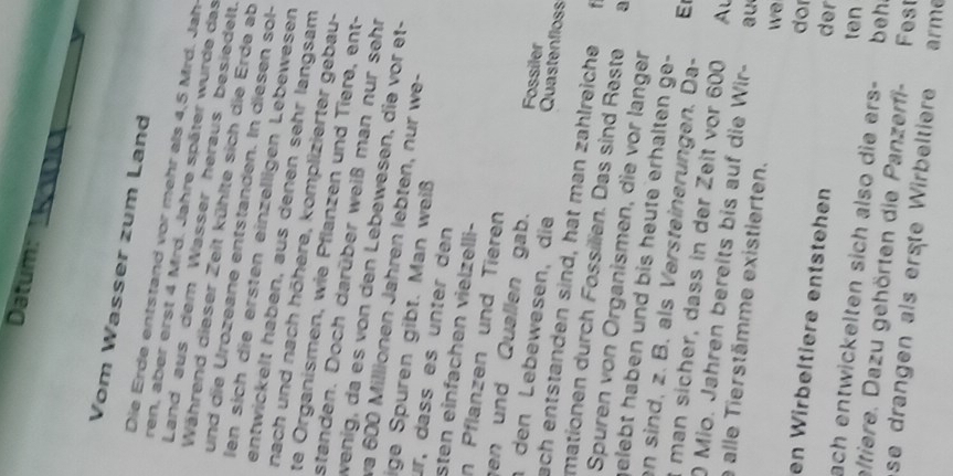 Datum: 
Rana 
Vom Wasser zum Land 
Die Erde entstand vor mehr als 4, 5 Mrd. Jah 
ren, aber erst 4 Mrd. Jahre später wurde das 
Land aus dem Wasser heraus besiedelt. 
Während dieser Zeit kühlte sich die Erde ab 
und die Urozeane entstanden. In diesen sol- 
Ien sich die ersten einzelligen Lebewesen 
entwickelt haben, aus denen sehr langsam 
nach und nach höhere, komplizierter gebau- 
te Organismen, wie Pflanzen und Tiere, ent- 
standen. Doch darüber weiß man nur sehr 
wenig, da es von den Lebewesen, die vor et- 
va 600 Millionen Jahren lebten, nur we- 
ige Spuren gibt. Man weiß 
ur, dass es unter den 
sten einfachen vielzelli- 
in Pflanzen und Tieren 
en und Quallen gab. Fossiler 
den Lebewesen, die Quastenfloss 
ach entstanden sind, hat man zählreiche 
mationen durch Fossilien. Das sind Reste a 
Spuren von Organismen, die vor langer 
gelebt haben und bis heute erhalten ge- 
en sind, z. B. als Versteinerungen. Da- E 
t man sicher, dass in der Zeit vor 600 Al 
0 Mio. Jahren bereits bis auf die Wir- au 
e alle Tierstämme existierten. we 
dor 
en Wirbeltiere entstehen der 
ten 
ach entwickelten sich also die ers- beh 
eltiere. Dazu gehörten die Panzerfi- Fest 
se drangen als erste Wirbeltiere arme