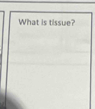 What is tissue?