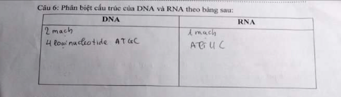 Phần biệt cấu trúc của DNA và RNA theo bảng sau: