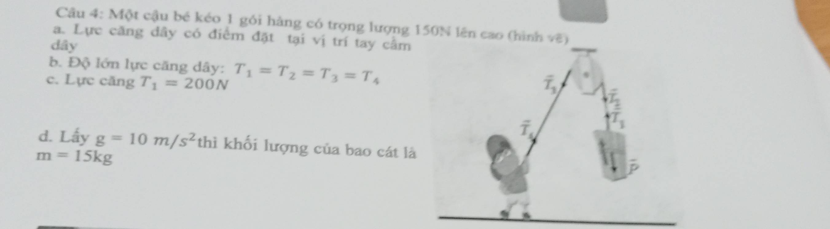 Một cậu bé kéo 1 gói hàng có trọng lượng 150N lên cao (hình ve
a. Lực căng dây có điểm đặt tại vị trí tay cầm
dây
b. Độ lớn lực căng dây: T_1=T_2=T_3=T_4
c. Lực căng T_1=200N
d. Lấy g=10m/s^2 thì khối lượng của bao cát là
m=15kg