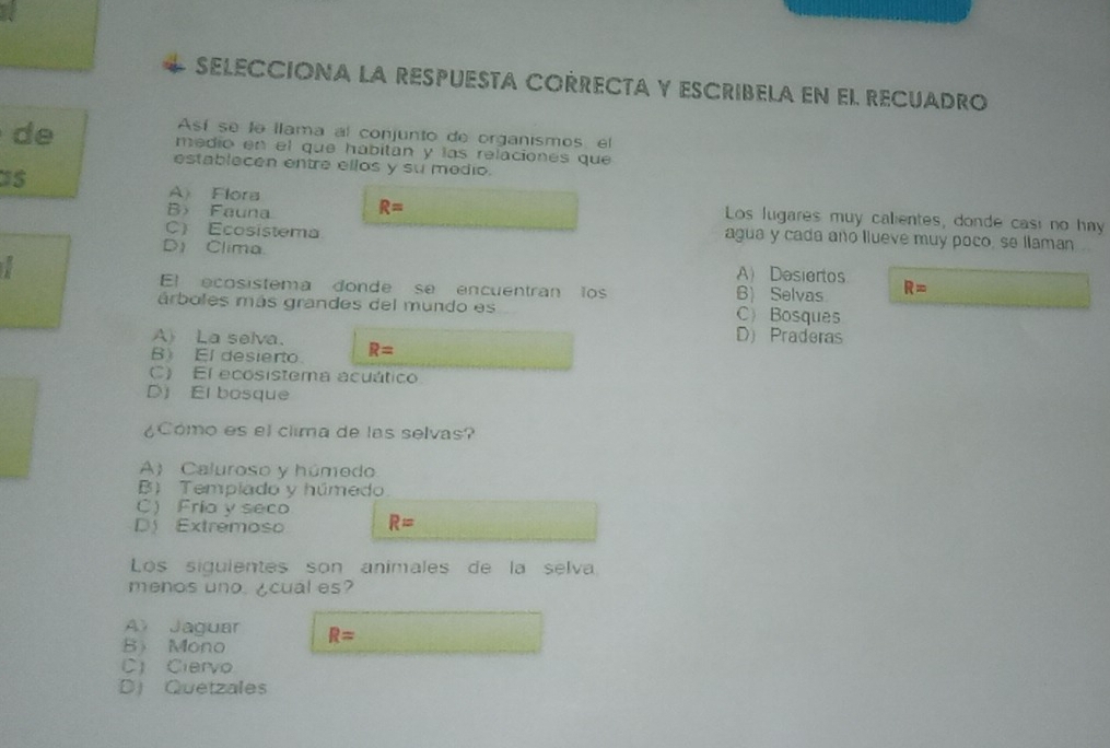 SELECCIóNa la RESpUesTa CORRECTA y ESCRIBELa en el REcUADRo
Así se lo llama al conjunto de organismos, el
de medio en el que habitan y las relaciones que
establecen entre ellos y su medio.
B Fauna R=
A Flora Los lugares muy calientes, donde casi no hay
C) Ecosistema
agua y cada año llueve muy poco, se llaman
D Clima. A) Desiertos
El ecosistema donde se encuentran los B) Selvas R=
árboles más grandes del mundo es C) Bosques
ALa selva.
D) Praderas
B El desierto R=
C) El ecosistema acuático
D El bosque
¿Cómo es el clima de las selvas?
A) Caluroso y húmodo
B) Templado y húmedo
C Fría y seco
D Extremoso R=
Los siguientes son animales de la selva
menos uno. ¿cual es?
A Jaguar
B Mono R=
C) Ciervo
D Quetzales