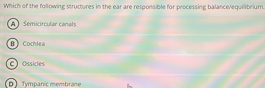 Which of the following structures in the ear are responsible for processing balance/equilibrium.
A Semicircular canals
B Cochlea
COssicles
D Tympanic membrane
Am