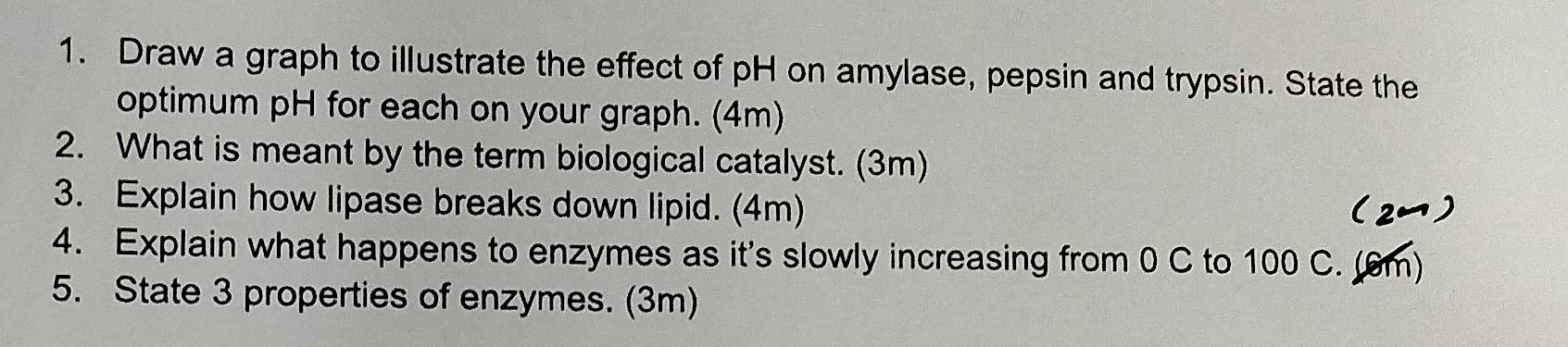 Draw a graph to illustrate the effect of pH on amylase, pepsin and trypsin. State the 
optimum pH for each on your graph. (4m) 
2. What is meant by the term biological catalyst. (3m) 
3. Explain how lipase breaks down lipid. (4m) (2) 
4. Explain what happens to enzymes as it's slowly increasing from 0 C to 100 C. (6m) 
5. State 3 properties of enzymes. (3m)