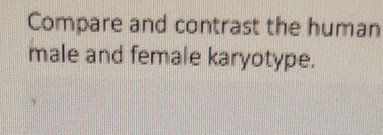 Compare and contrast the human 
male and female karyotype.