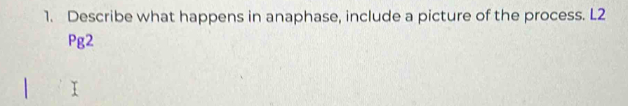 Describe what happens in anaphase, include a picture of the process. L2 
Pg2