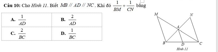 Cho Hình 11. Biết MBparallel ADparallel NC. Khi đó  1/BM + 1/CN  bằng
Hình 1 1