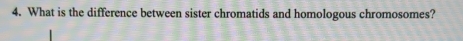 What is the difference between sister chromatids and homologous chromosomes?