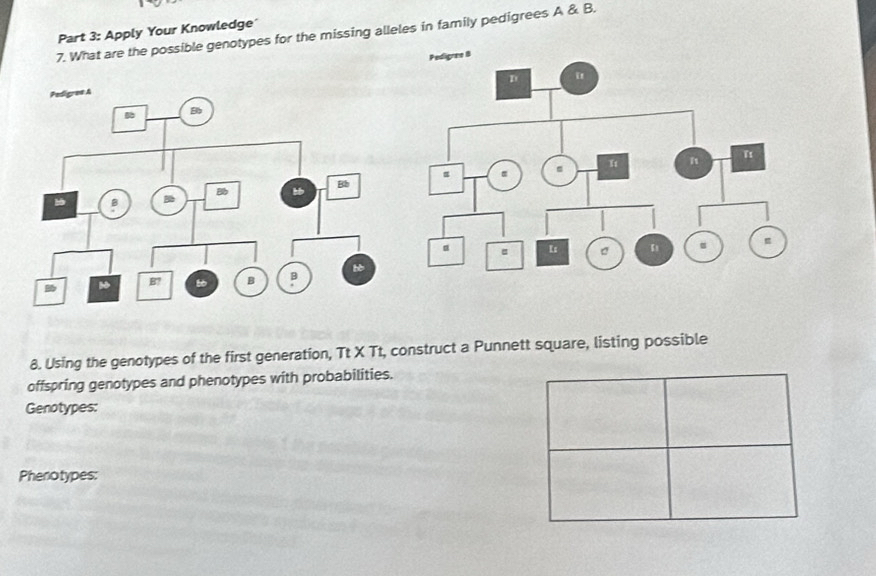 Solved: Apply Your Knowledge’ 7. What are the possible genotypes for ...