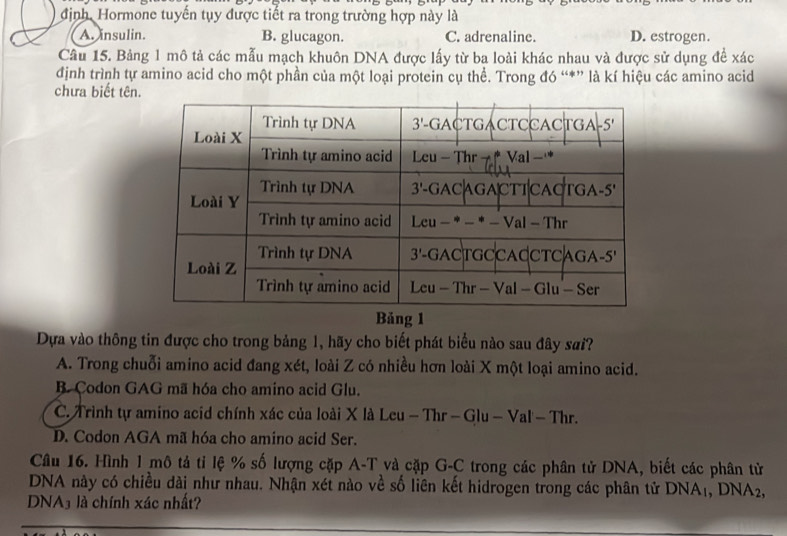 định, Hormone tuyển tụy được tiết ra trong trường hợp này là
A. insulin. B. glucagon. C. adrenaline. D. estrogen.
Câu 15. Bảng 1 mô tả các mẫu mạch khuôn DNA được lấy từ ba loài khác nhau và được sử dụng đề xác
định trình tự amino acid cho một phần của một loại protein cụ thể. Trong đó “*” là kí hiệu các amino acid
chưa biết tên
Bảng 1
Dựa vào thông tin được cho trong bảng 1, hãy cho biết phát biểu nào sau đây sai?
A. Trong chuỗi amino acid đang xét, loài Z có nhiều hơn loài X một loại amino acid.
B Codon GAG mã hóa cho amino acid Glu.
C. Trình tự amino acid chính xác của loài X là Leu - Thr - Glu - Val - 1 1h
D. Codon AGA mã hóa cho amino acid Ser.
Câu 16. Hình 1 mô tả tỉ lệ % số lượng cặp A-T và cặp G-C trong các phân tử DNA, biết các phân tử
DNA này có chiều dài như nhau. Nhận xét nào về số liên kết hidrogen trong các phân tử DNA_1,DNA_2,
DNA3 là chính xác nhất?