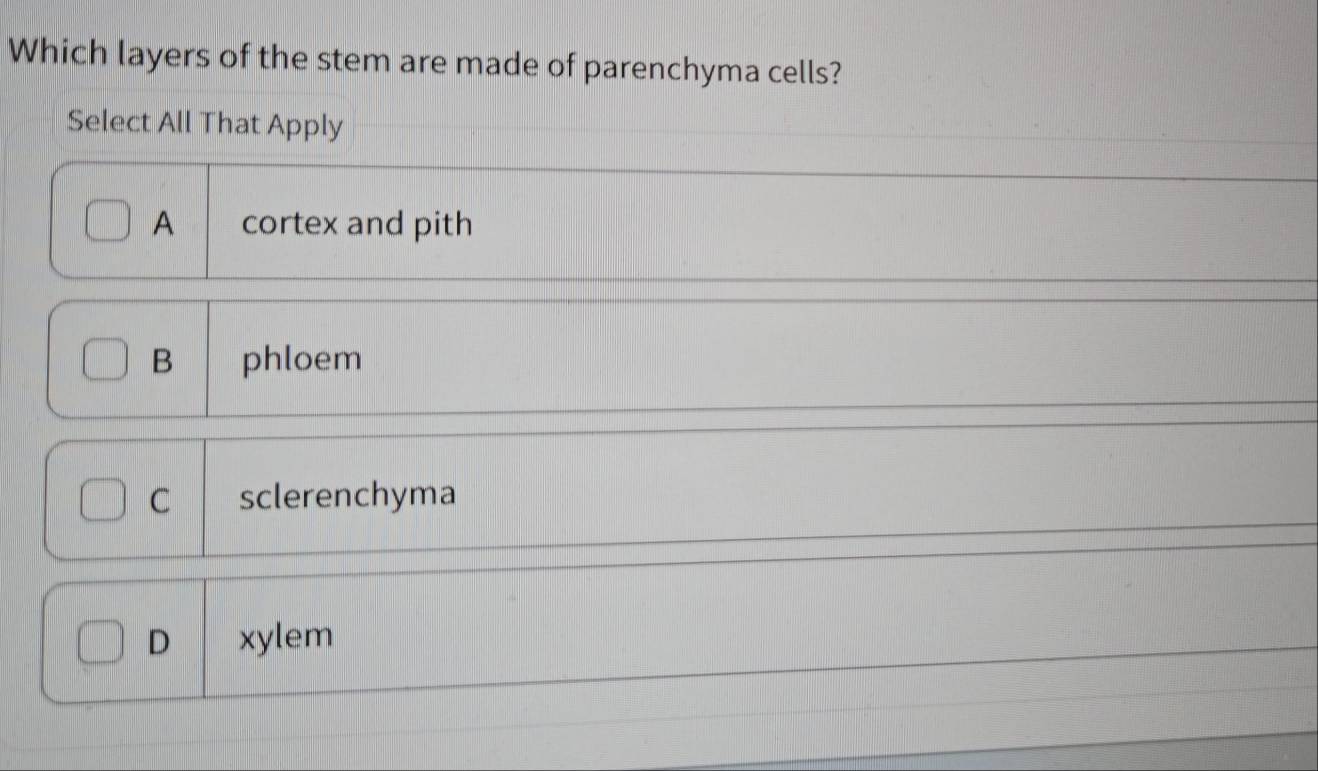 Which layers of the stem are made of parenchyma cells?
Select All That Apply
A cortex and pith
B phloem
C sclerenchyma
D xylem