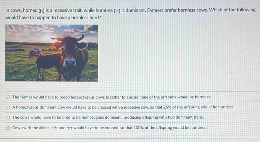 In cows, horned (h) is a recessive trait, while hornless (H) is dominant. Farmers prefer hornless cows. Which of the following
would have to happen to have a hornless herd?
The farmer would have to breed heterozygous cows together to ensure none of the offspring would be hornless.
A homozygous dominant cow would have to be crossed with a recessive cow, so that 25% of the offspring would be hornless.
The cows would have to be bred to be homozygous dominant, producing offspring with two dominant traits.
Cows with the alleles Hh and hh would have to be crossed, so that 100% of the offspring would be hornless.