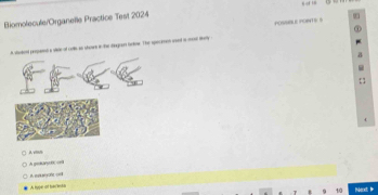 Biomolecule/Organelle Practice Test 2024 
A shotend peropard a siae of crls as shows in the disgran Srtow. The specimen csed ia oost thry POMMBLE PONTS S 
A vian 
A gokanoe === 
A. eayofe 
A hype at beriete 
Next