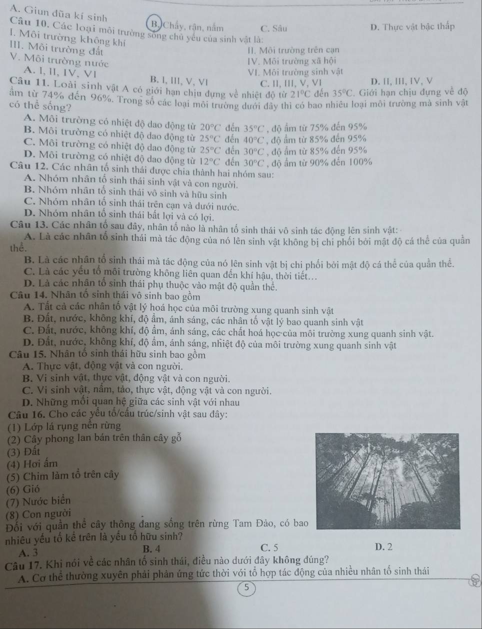 A. Giun đũa kí sinh
B.Chẩy, rận, nằm C. Sâu D. Thực vật bậc thấp
Câu 10. Các loại môi trường sống chủ yểu của sinh vật là:
I.  Môi trường không khí
III. Môi trường đất
II. Môi trường trên cạn
V. Môi trường nước
IV. Môi trường xã hội
VI. Môi trường sinh vật
A. l, lI, IV, Vl B. l, lll, V, Vl
C. I, III, V, VI D. I, II, IV, V
Câu 11. Loài sinh vật A có giới hạn chịu dựng về nhiệt độ từ 21°C dến 35°C. Giới hạn chịu đựng về độ
ầm từ 74% đến 96%. Trong số các loại môi trường dưới đây thì có bao nhiêu loại môi trường mà sình vật
có thể sống?
A. Môi trường có nhiệt độ dao động từ 20°C dến 35°C , độ ẩm từ 75% đến 95%
B. Môi trường có nhiệt độ dao động từ 25°C đến 40°C , độ ẩm từ 85% đến 95%
C. Môi trường có nhiệt độ dao động từ 25°C dến 30°C , độ ẩm từ 85% đến 95%
D. Môi trường có nhiệt độ dao động từ 12°C đến 30°C , độ ẩm từ 90% đến 100%
Câu 12. Các nhân tố sinh thái được chia thành hai nhóm sau:
A. Nhóm nhân tố sinh thái sinh vật và con người.
B. Nhóm nhân tố sinh thái vô sinh và hữu sinh
C. Nhóm nhân tố sinh thái trên cạn và dưới nước.
D. Nhóm nhân tố sinh thái bất lợi và có lợi.
Câu 13. Các nhân tố sau đây, nhân tố nào là nhân tố sinh thái vô sinh tác động lên sinh vật:
A. Là các nhân tố sinh thái mà tác động của nó lên sinh vật không bị chi phối bởi mật độ cá thể của quân
thể.
B. Là các nhân tổ sinh thái mà tác động của nó lên sinh vật bị chi phối bởi mật độ cá thể của quần thể.
C. Là các yếu tổ môi trường không liên quan đến khí hậu, thời tiết...
D. Là các nhân tổ sinh thái phụ thuộc vào mật độ quần thể.
Câu 14. Nhân tổ sinh thái vô sinh bao gồm
A. Tất cả các nhân tố vật lý hoá học của môi trường xung quanh sinh vật
B. Đất, nước, không khí, độ ẩm, ánh sáng, các nhân tố vật lý bao quanh sinh vật
C. Đất, nước, không khí, độ ẩm, ánh sáng, các chất hoá học-của môi trường xung quanh sinh vật.
D. Đất, nước, không khí, độ ẩm, ánh sáng, nhiệt độ của môi trường xung quanh sinh vật
Câu 15. Nhân tổ sinh thái hữu sinh bao gồm
A. Thực vật, động vật và con người.
B. Vi sinh vật, thực vật, động vật và con người.
C. Vi sinh vật, nầm, tảo, thực vật, động vật và con người.
D. Những mối quan hệ giữa các sinh vật với nhau
Câu 16. Cho các yểu tố/cấu trúc/sinh vật sau đây:
(1) Lớp lá rụng nền rừng
(2) Cây phong lan bán trên thân cây gỗ
(3) Đất
(4) Hơi ấm
(5) Chim làm tổ trên cây
(6) Gió
(7) Nước biển
(8) Con người
Đối với quần thể cây thông đang sống trên rừng Tam Đảo, có ba
nhiêu yếu tố kể trên là yếu tố hữu sinh?
A. 3 B. 4 C. 5
D. 2
Câu 17. Khi nói về các nhân tố sinh thái, điều nào dưới đây không đúng?
A. Cơ thể thường xuyên phải phản ứng tức thời với tổ hợp tác động của nhiều nhân tổ sinh thái
5