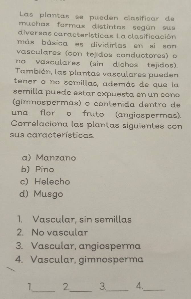 Las plantas se pueden clasificar de
muchas formas distintas según sus
diversas características. La clasificación
más básica es dividirlas en si son
vasculares (con tejidos conductores) o
no vasculares (sin dichos tejidos).
También, las plantas vasculares pueden
tener o no semillas, además de que la
semilla puede estar expuesta en un cono
(gimnospermas) o contenida dentro de
una flor o fruto (angiospermas).
Correlaciona las plantas siguientes con
sus características.
a) Manzano
b) Pino
c) Helecho
d) Musgo
1. Vascular, sin semillas
2. No vascular
3. Vascular, angiosperma
4. Vascular, gimnosperma
_
_
1. 2. 3._ 4._