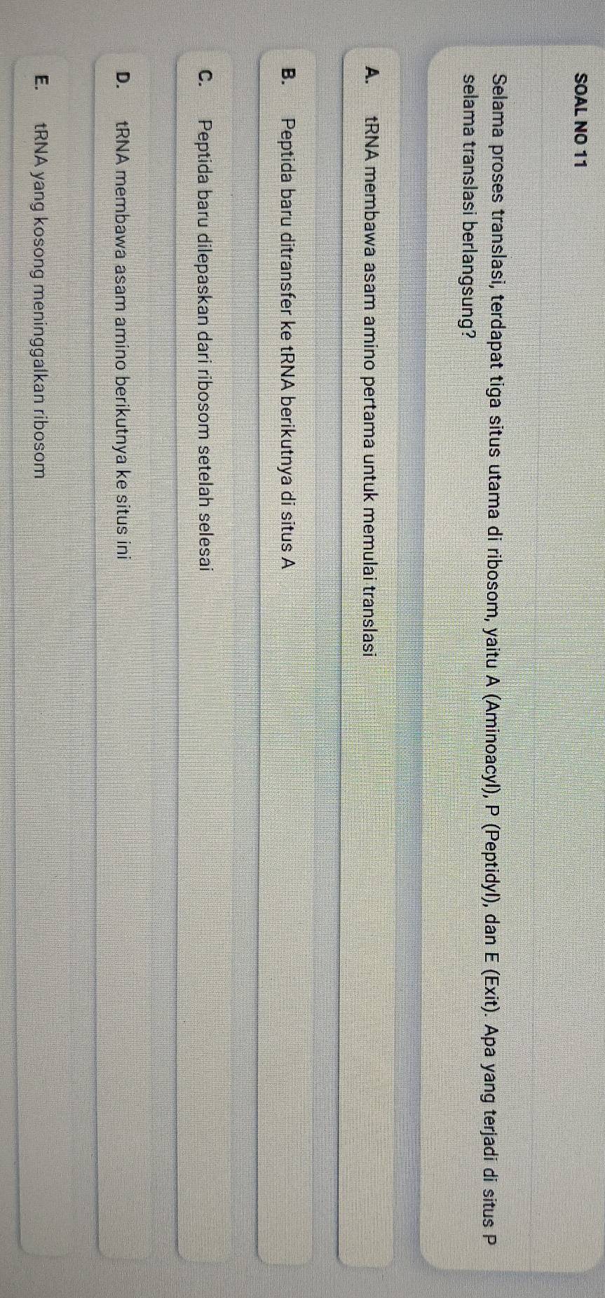 SOAL NO 11
Selama proses translasi, terdapat tiga situs utama di ribosom, yaitu A (Aminoacyl), P (Peptidyl), dan E (Exit). Apa yang terjadi di situs P
selama translasi berlangsung?
A. tRNA membawa asam amino pertama untuk memulai translasi
B. Peptida baru ditransfer ke tRNA berikutnya di situs A
C. Peptida baru dilepaskan dari ribosom setelah selesai
D. tRNA membawa asam amino berikutnya ke situs ini
E. tRNA yang kosong meninggalkan ribosom
