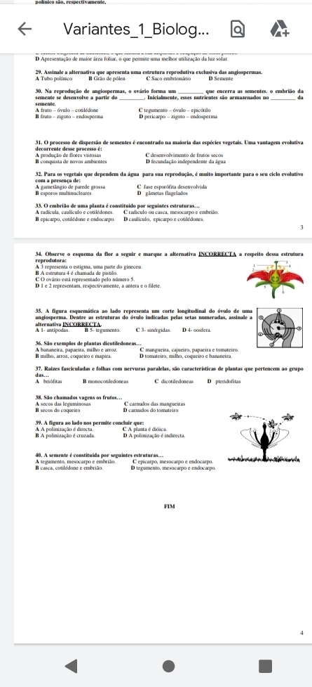 Variantes_1_Biolog...
D Apresentação de maior área foliar, o que permite uma melhor utilização da baz solar.
A Tubo polínico  29. Assinale a alternativa que apresenta uma estrutura reprodutiva exclusiva das anglospermas. D Semente
B Grão de pólen C Saco embrionário
30. Na reprodução de angiospermas, o ovário forma um Inicialmente, esses nutrientes são armazenados no  que encerra as sementes, o embrião da
da
semente.
A fruto - óvulo - cotilédome B frato - zigoto - endosperma C tegamento - óvulo - epicótilo D pericarpo - zigoto - endosperma
31. O processo de dispersão de sementes é encontrado na maioria das espécies vegetais. Uma vantagem evolutivas
decorrente desse processo é:
B conquista de novos ambientes A produção de flores vistosas D fecundação independente da água
32. Para os vegetais que dependem da água para sua reprodução, é muito importante para o seu ciclo evolutivo
com a presença de: A gametâagio de parede grossa C fase esporócim desenvolvida
B esporos maltinucleares Da gâmetas flagelados
33. O embrião de uma planta é constituído por seguintes estruturas...
B epicarpo, cotilédone e emdocarpo. D caalículo, epicarpo e cotilédones
5
reprodutora:  34. Observe o esquema da flor a seguir e marque a alternativa INCORRECTA a respeíto dessa estrutura
A 3 representa o estigma, uma parte do gineceu
C O ovário está representado pelo número 5.
D 1 e 2 representam, respectivamente, a antera e o filete
35. A figura esquemática ao lado representa um corte longitudinal do óvulo de uma
alternativa INCORRECTA angiosperma. Dentre as estruturas do óvulo indicadas pelas setas numeradas, assinale a
C 3- sinérgidas D 4- oosfera
36. São exemplos de plantas dicotiledoneas..
malho, arroz, coqueiro e mapira A bananeira, panacira, milo e arroz C mangueira, cajueiro, papaeira e somateiro.
D tomateiro, milho, coqueiro e hamaneira.
37. Raizes fasciculadas e folhas com pervuras paralelas, são características de plantas que pertencem ao grupo
A briófitas   a s  
B monocotiledoneas C dicotiledones De pteridofitas
B seços do coqueiro A seços das leguminosas D cannados do tomateiro C carnudos das mangueiras
39. A figura ao lado nos permite concluir que:
B A polinização é cruzada A A polinização é directa D A polinização é indirecta. C A planta é dióica.
40. A semente é constituída por seguântes estruturas.. C epicarpo, mesocarpo e endocarpo.
B casca, cotilédone e embrião. A segumento, mesocarpo e embrião. D tegumento, mesocarpo e endocarpo
FIM