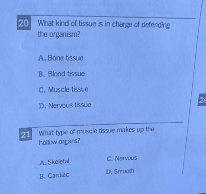 What kind of tissue is in charge of defending
the organism?
A. Bone tissue
B. Blood tissue
C. Muscle tissue
24
D. Nervous tissue
21 What type of muscle tissue makes up the
hollow organs?
A. Skeletal C. Nervous
B. Cardiac D. Smooth