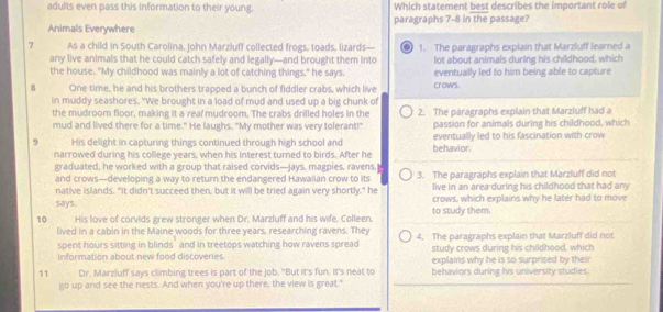 adults even pass this information to their young. Which statement best describes the important role of
Animals Everywhere paragraphs 7-8 in the passage?
7 As a child in South Carolina, John Marzluff collected frogs, toads, lizards— 1. The paragraphs explain that Marzluff learned a
any live animals that he could catch safely and legally—and brought them into lot about animals during his childhood, which
the house. "My childhood was mainly a lot of catching things," he says. eventually led to him being able to capture
8 One time, he and his brothers trapped a bunch of fiddler crabs, which live crows.
in muddy seashores. "We brought in a load of mud and used up a big chunk of
the mudroom floor, making it a rea/mudroom. The crabs drilled holes in the 2. The paragraphs explain that Marzluff had a
mud and lived there for a time." He laughs. "My mother was very tolerant!" passion for animals during his childhood, which
9 His delight in capturing things continued through high school and behavior. eventually led to his fascination with crow
narrowed during his college years, when his interest turned to birds. After he
graduated, he worked with a group that raised corvids-jays, magpies, ravens.
and crows—developing a way to return the endangered Hawaiian crow to its 3. The paragraphs explain that Marzluff did not
live in an area during his childhood that had any
native islands, "It didn't succeed then, but it will be tried again very shortly," he crows, which explains why he later had to move
says.
10 His love of corvids grew stronger when Dr. Marzluff and his wife, Colleen, to study them.
lived in a cabin in the Maine woods for three years, researching ravens. They 4. The paragraphs explain that Marzluff did not
spent hours sitting in blinds ' and in treetops watching how ravens spread study crows during his childhood, which
information about new food discoveries. explains why he is so surprised by their
11 Dr. Marzluff says climbing trees is part of the job. "But it's fun. It's neat to behaviors during his university studies.
go up and see the nests. And when you're up there, the view is great."