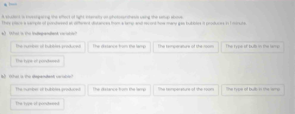 stucient is investigaring the effect of light intensity on photosynthesis using the setup above.
They place a sample of pondweed at different distances from a lamp and record how many gas bubbles it produces in 1 minute.
a) What is the Independent variable?
The number of bubbles produced The distance from the lamp The temperature of the room The type of bulb in the lamp
The type of pondweed
b) What is the dependent variable?
The number of bubbles produced The distance from the lamp The temperature of the room The type of bulb in the lamp
The type of pondweed