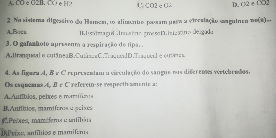 A. CO e O2B. CO e H2 C. CO2 e O2 D. O2 e CO2
2. No sistema digestivo do Homem, os alimentos passam para a circulação sanguinea no(a).. -
A.Boca B.EstômagoC.Intestino grossoD.Intestino delgado
3. O gafanhoto apresenta a respiração do tipo...
A.Branqueal e cutâneaB.CutâneaC.TraquealD.Traqueal e cutânea
4. As figura A, B e C representam a circulação do sangue nos diferentes vertebrados.
Os esquemas A, B e C referem-se respectivamente a:
A.Anfíbios, peixes e mamíferos
B.Anfíbios, mamíferos e peixes
C.Peixes, mamíferos e anfíbios
D.Peixe, anfíbios e mamíferos