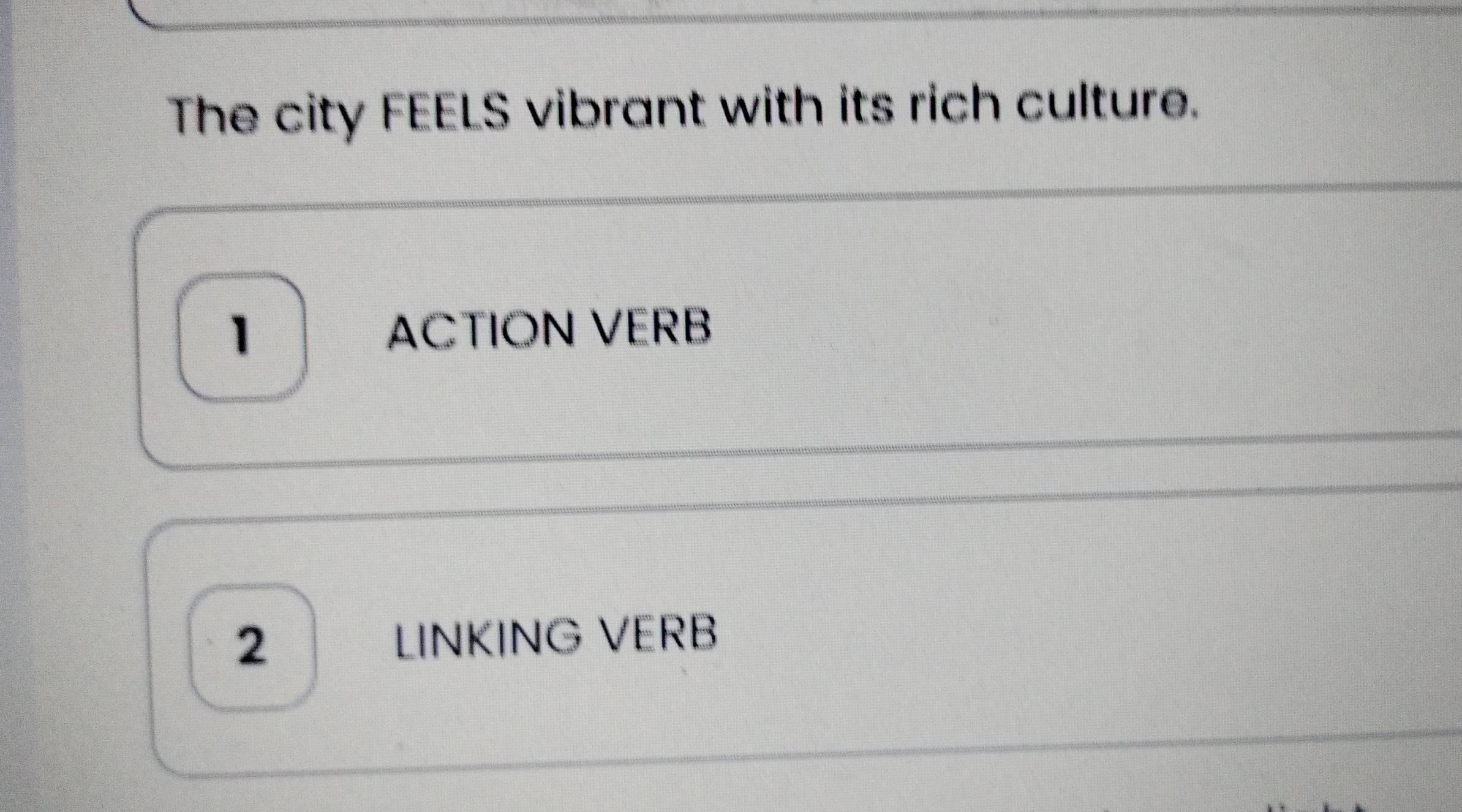 The city FEELS vibrant with its rich culture. 
1 ACTION VERB 
2 LINKÍNG VERB