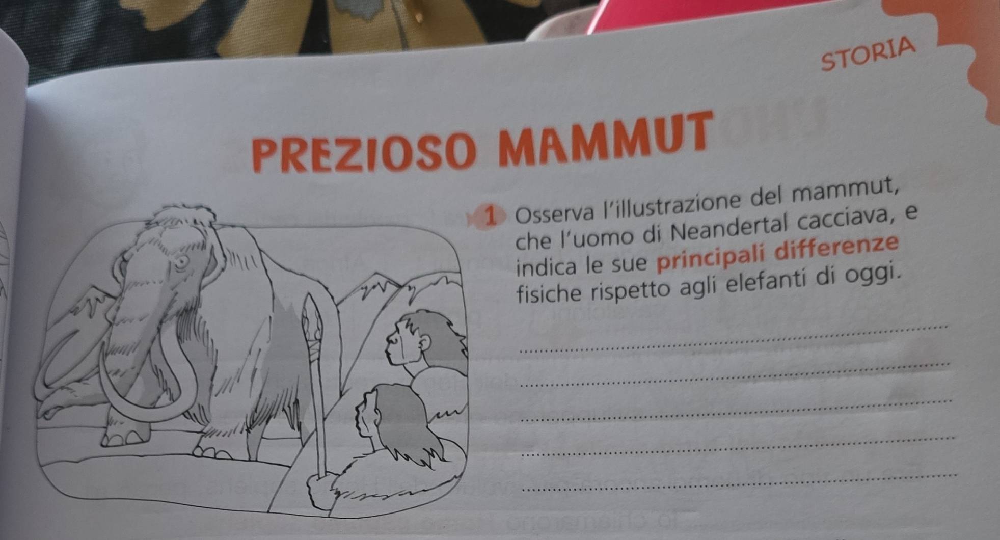 STORIA 
PREZIOSO MAMMUT 
Osserva l'illustrazione del mammut, 
che l'uomo di Neandertal cacciava, e 
indica le sue principali differenze 
fisiche rispetto agli elefanti di oggi. 
_ 
_ 
_ 
_ 
_