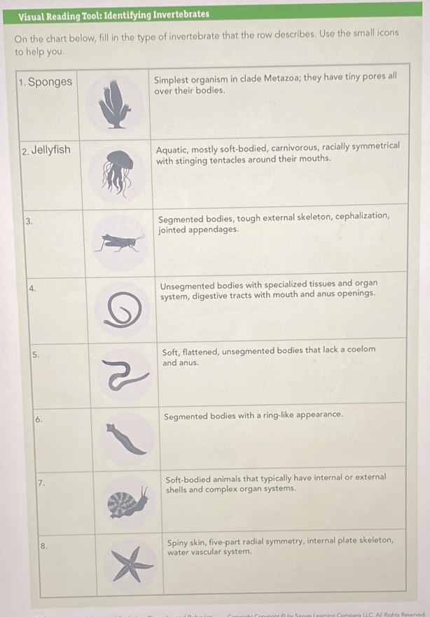 Visual Reading Tool: Identifying Invertebrates 
On the chart below, fill in the type of invertebrate that the row describes. Use the small icons 
to h 
1. 
2. 
3 
4