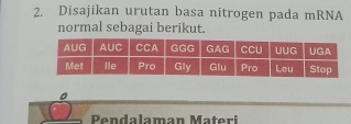 Disajikan urutan basa nitrogen pada mRNA 
normal sebagai berikut. 
Pendalaman Materi