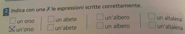 Indica con una X le espressioni scritte correttamente.
un orso un abete un’albero un altalena
un’orso un’abete un albero un’altalena