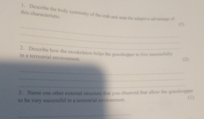 Describe the body symmetry of the crab and state the adaptive advantage of 
this characteristic. 
_ 
(2) 
_ 
_ 
2. Describe how the exoskeleton helps the grasshopper to live successfully 
in a terrestrial environment. 
(2) 
_ 
_ 
_ 
3. Name one other external structure that you observed that allow the grasshopper 
to be very successful in a terrestrial environment. (1) 
_