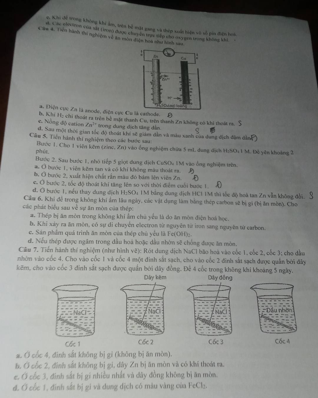 c. Khi để trong không khí ẩm, trên bể mặt gang và thép xuất hiện vô số pin điện hoá.
d. Các electron của sắt (iron) được chuyển trực tiếp cho oxygen trong không khi.
Cầu 4. Tiền hành thí nghiệm về ăn mòn điện hoá như hình sau.
a. Điện cực Zn là anode, điện cực Cu là cathode. D
b. Khí H₂ chỉ thoát ra trên bề mặt thanh Cu, trên thanh Zn không có khi thoát ra.
c. Nồng độ cation Zn^(2+) trong dung dịch tăng dần.
d. Sau một thời gian tốc độ thoát khí sẽ giảm dần và màu xanh của dung dịch đậm dần
Câu 5. Tiền hành thí nghiệm theo các bước sau:
Bước 1. Cho 1 viên kẽm (zinc, Zn) vào ống nghiệm chứa 5 mL dung dịch
phút. H_2SO_41M 1. Đề yên khoảng 2
Bước 2. Sau bước 1, nhỏ tiếp 5 giọt dung dịch CuSO₄ 1M vào ống nghiệm trên.
a. Ở bước 1, viên kẽm tan và có khí không màu thoát ra.
b. Ở bước 2, xuất hiện chất rắn màu đỏ bám lên viên Zn.
c. Ở bước 2, tốc độ thoát khí tăng lên so với thời điểm cuối bước 1.
đ. Ở bước 1, nếu thay dung dịch 1 H_2SO_4 4 1M bằng dung dịch HCI 1M thì tốc độ hoà tan Zn vẫn không đổi.
Câu 6. Khi đề trong không khí ẩm lâu ngày, các vật dụng làm bằng thép carbon sẽ bị gi (bị ăn mòn). Cho
các phát biểu sau về sự ăn mòn của thép:
a. Thép bị ăn mòn trong không khí ẩm chủ yếu là do ăn mòn điện hoá học.
b. Khi xảy ra ăn mòn, có sự di chuyển electron từ nguyên tử iron sang nguyên tử carbon.
c. Sản phầm quá trình ăn mòn của thép chủ yếu là Fe(OH)₂.
d. Nếu thép được ngâm trong dầu hoả hoặc dầu nhờn sẽ chống được ăn mòn.
Câu 7. Tiến hành thí nghiệm (như hình vẽ): Rót dung dịch NaCl bão hoà vào cốc 1, cốc 2, cốc 3; cho dầu
nhờn vào cốc 4. Cho vào cốc 1 và cốc 4 một đinh sắt sạch, cho vào cốc 2 đinh sắt sạch được quấn bởi dây
kẽm, cho vào cốc 3 đinh sắt sạch được quấn bởi dây đồng. Để 4 cốc trong không khí khoảng 5 ngày.
 
2. Ở cốc 4, đinh sắt không bị gỉ (không bị ăn mòn).
b. Ở cốc 2, định sắt không bị gi, dây Zn bị ăn mòn và có khí thoát ra.
c. Ở cốc 3, đinh sắt bị gi nhiều nhất và dây đồng không bị ăn mòn.
đ. Ở cốc 1. định sắt bị gi và dung dịch có màu vàng của FeCl_2.