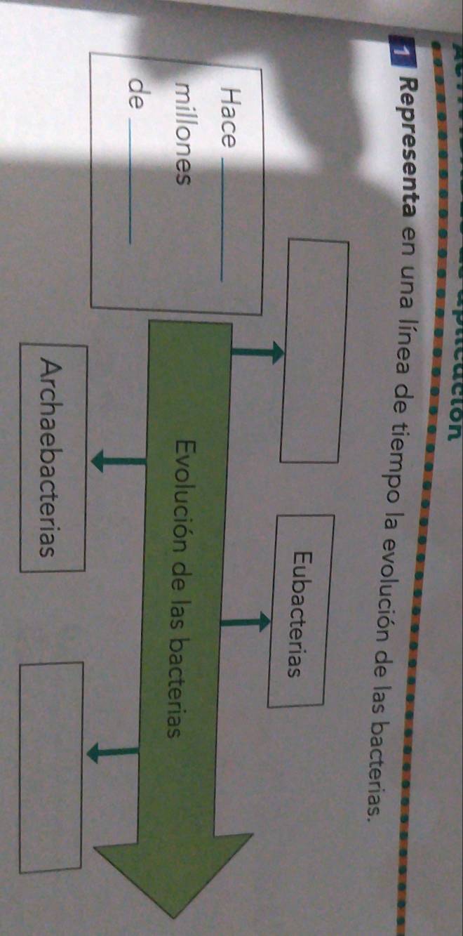 picación 
Representa en una línea de tiempo la evolución de las bacterias. 
Eubacterias 
Hace_ 
millones Evolución de las bacterias 
de_ 
Archaebacterias