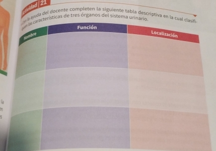 and 21 
uda del docente completen la siguiente tabla descriptiva en 
as de tres órganos del sistem 
la 
an