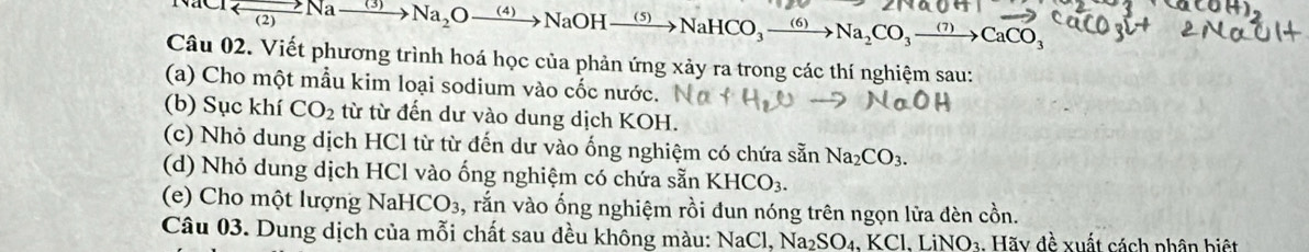 (2) ∠ Na-
xrightarrow 3)Na_2Oxrightarrow (4)NaOHxrightarrow (5)NaHCO_3xrightarrow (6) Na_2CO_3to CaCO_3
Câu 02. Viết phương trình hoá học của phản ứng xảy ra trong các thí nghiệm sau: 
(a) Cho một mẫu kim loại sodium vào cốc nước. 
(b) Sục khí CO_2 từ từ đến dư vào dung dịch KOH. 
(c) Nhỏ dung dịch HCl từ từ đến dư vào ống nghiệm có chứa sẵn Na_2CO_3. 
(d) Nhỏ dung dịch HCl vào ống nghiệm có chứa sẵn KHCO_3. 
(e) Cho một lượng Nah -ICO_3 , rắn vào ống nghiệm rồi dun nóng trên ngọn lửa đèn cồn. 
Câu 03. Dung dịch của mỗi chất sau đều không màu: NaCl, N Ca_2SO_4.KCl. LiNO_3 Hãy đề xuất cách phân biệt