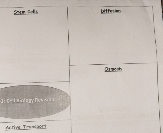 1: 
Active Transport