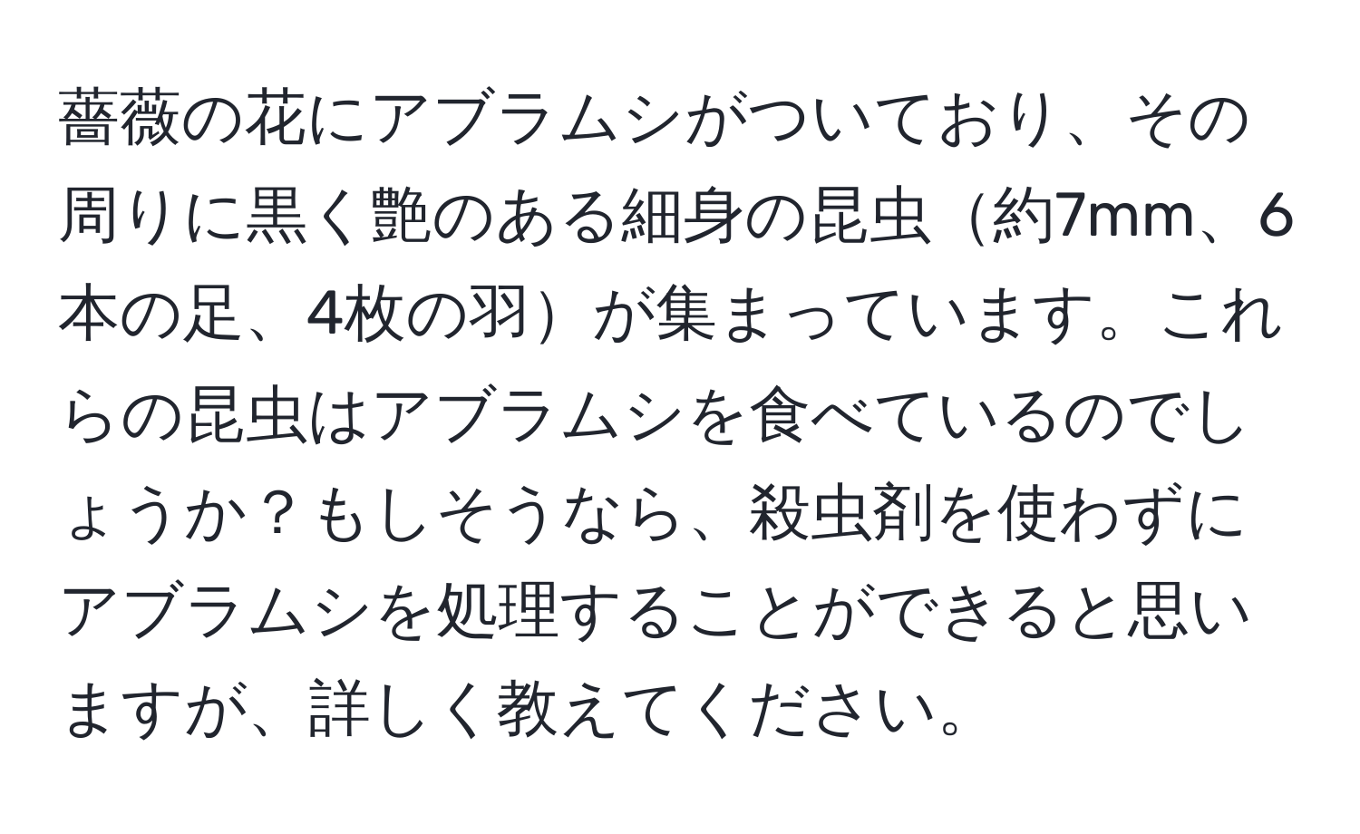 薔薇の花にアブラムシがついており、その周りに黒く艶のある細身の昆虫約7mm、6本の足、4枚の羽が集まっています。これらの昆虫はアブラムシを食べているのでしょうか？もしそうなら、殺虫剤を使わずにアブラムシを処理することができると思いますが、詳しく教えてください。