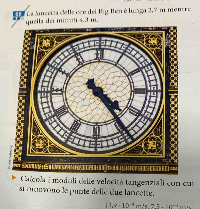 La lancetta delle ore del Big Ben è lunga 2,7 m mentre 
quella dei minuti 4,3 m. 
Calcola i moduli delle velocità tangenziali con cui 
si muovono le punte delle due lancette.
[3,9· 10^(-4)m/s:7.5· 10^(-3) m/c]