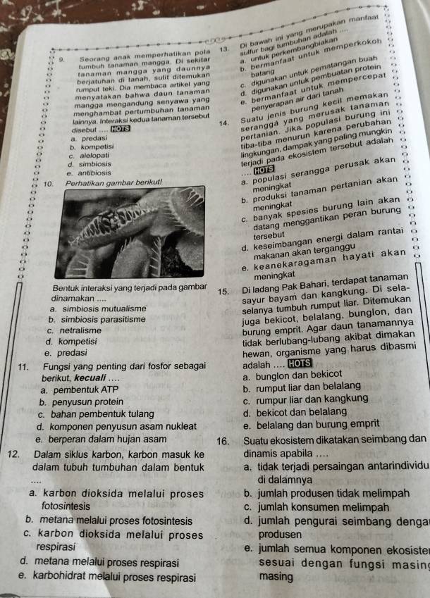 Di bawah ini yang merupakan manfa:
sulfur bagi tumbuhan adalah .   
Seorang anak memperhatikan pola 13.
tumbuh tanaman mangga. Di sekitar a. untuk perkembangbiakan
tanaman mangga yang daunnya b. bermanfaat untuk memperkokon
rumput teki. Dia membaca artikel yang c. digunakan untuk pematangan buah
. berjatuhan di tanah, sulit ditemukan batang
. , . “
menyatakan bahwa daun tanaman d. digunakan untuk pembuatan protein
. 
( 
mangga mengandung senyawa yang e. bermanfaat untuk mempercepat
menghambat pertumbuhan tanaman penyerapan air dari tanah   
14. Suatu jenis burung kecil memakan .
seranggá yang merusak tanaman . .
lainnya. Interaksi kedua tanaman tersebut
pertanian. Jika populasi burung ini o 
disebut ....  
tiba-tiba menurun karena perubahan
a predasi
lingkungan, dampak yang paling mungkin
b. kompetisi
terjadi pada ekosistem tersebut adalah
c. alelopati
d. simbiosis
e. antibiosis
HOTS
Perambar berikut!
a. populasi serangga perusak akan
meningkat
b. produksi tanaman pertanian akan
meningkat
c. banyak spesies burung lain akan
datang menggantikan peran burung
tersebut
d. keseimbangan energi dalam rantai
makanan akan terganggu
e. keanekaragaman hayati akan
meningkat
Bentuk interaksi yang terjadi pada gambar
15. Di ladang Pak Bahari, terdapat tanaman
dinamakan ....
sayur bayam dan kangkung. Di sela-
a. simbiosis mutualisme
selanya tumbuh rumput liar. Ditemukan
b. simbiosis parasitisme
juga bekicot, belalang, bunglon, dan
c. netralisme
burung emprit. Agar daun tanamannya
d. kompetisi
tidak berlubang-lubang akibat dimakan
e. predasi
11. Fungsi yang penting dari fosfor sebagai adalah .... HOTS hewan, organisme yang harus dibasmi
berikut, kecuali ..
a. bunglon dan bekicot
a. pembentuk ATP b. rumput liar dan belalang
b. penyusun protein c. rumpur liar dan kangkung
c. bahan pembentuk tulang d. bekicot dan belalang
d. komponen penyusun asam nukleat e. belalang dan burung emprit
e. berperan dalam hujan asam 16. Suatu ekosistem dikatakan seimbang dan
12. Dalam siklus karbon, karbon masuk ke dinamis apabila ....
dalam tubuh tumbuhan dalam bentuk a. tidak terjadi persaingan antarindividu
… di dalamnya
a. karbon dioksida melalui proses b. jumlah produsen tidak melimpah
fotosintesis c. jumlah konsumen melimpah
b. metana melalui proses fotosintesis d. jumlah pengurai seimbang denga
c. karbon dioksida melalui proses produsen
respirasi e. jumlah semua komponen ekosister
d. metana melalui proses respirasi sesuai dengan fungsi masing
e. karbohidrat melalui proses respirasi masing