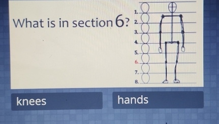 What is in section 6? 2. 
3. 
4. 
5. 
6. 
7. 
8. 
knees hands